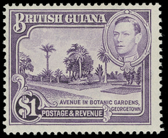 ** British Guiana - Lot No.364 - Guyane Britannique (...-1966)