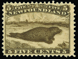 * Canada / Newfoundland - Lot No.398 - 1865-1902