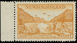 ** Canada / Newfoundland - Lot No.409 - Fine Di Catalogo (Back Of Book)