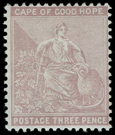 * Cape Of Good Hope - Lot No.480 - Kap Der Guten Hoffnung (1853-1904)