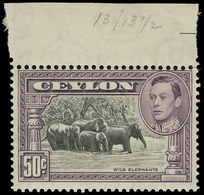 ** Ceylon - Lot No.504 - Ceylan (...-1947)