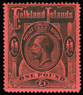 * Falkland Islands - Lot No.576 - Falkland Islands