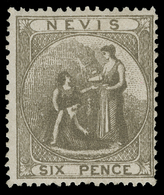 * Nevis - Lot No.976 - St.Christopher-Nevis-Anguilla (...-1980)