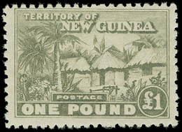 * New Guinea - Lot No.994 - Papoea-Nieuw-Guinea