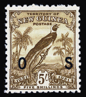 * New Guinea - Lot No.1004 - Papouasie-Nouvelle-Guinée