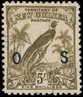 O New Guinea - Lot No.1007 - Papua Nuova Guinea