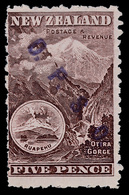 * New Zealand - Lot No.1078 - Dienstzegels