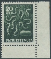 1950 TRIESTE B ANIMALI DOMESTICI 20 D MNH ** - UR33-6 - Neufs