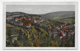 (RECTO / VERSO) HEILSTÄTTE GOTTLEUBA EN 1926 - CPA COULEUR VOYAGEE - Bad Gottleuba-Berggiesshübel