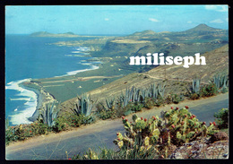 ISLA CANARIAS - Gran Canaria - Vue De La Côte - (4725) - Gomera