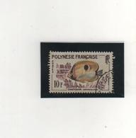 POLYNESIE  FRANCAISE   1962  Y.T. N° 19  Oblitéré - Used Stamps