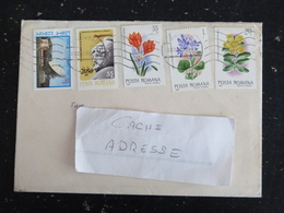 LETTRE ROUMANIE ROMANIA ROMANA YT 3020 3269 3277 3278 3280 CHEIA ( Abimé ) TETE DE DACE FLORE FLEUR BOTANIQUE - Poststempel (Marcophilie)