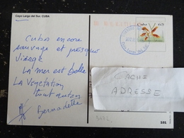 LETTRE CUBA YT 3472 FLORE FLEUR ORCHIDEE - CAYO LARGO DEL SUR - Covers & Documents