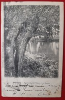 PERIGNY  Bords De L'yeres   Les Saules    Precurseur  1903 - Perigny