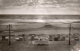 NORDSEEBAD BORKUM-ABEND AM MEER-REAL PHOTO- NON  VIAGGIATA - Borkum