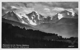 Panorama Von Des Pension Waldheim Haltenegg Ob Thun - Wald