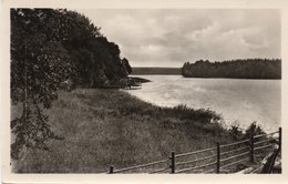 ZECHLINERHUTTE-SCHLABORNSEE-REAL PHOTO- NON  VIAGGIATA - Zechlinerhütte