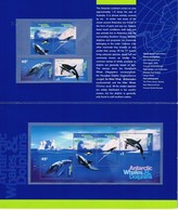 AUSTRALIAN ANTARCTIC TERRITORY (AAT) • 1995 • ANTARCTIC WHALES AND DOLPHINS  • PRESENTATION PACK - Unused Stamps