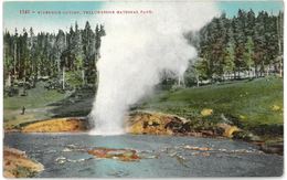 CPA YELLOWSTONE National Park - Riverside Geyser - Yellowstone