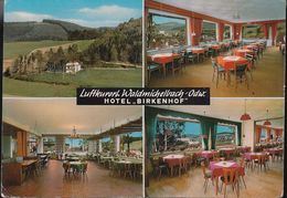 D-69483 Wald-Michelbach - Restaurant Birkenhof Pension - Odenwald - Odenwald