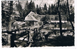 D-9578  HORN - BAD MEINBERG : Waldhotel Silbermühle - Bad Meinberg