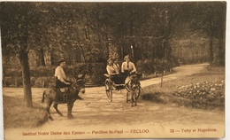 (886) Eecloo - Institut Notre-Dame Aux Epines - Pavillon St.-Paul - Toby Et Napoléon - De Ezeltjes. - Eeklo