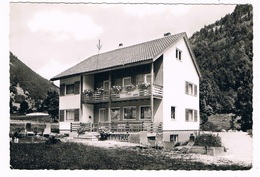 D-9593   TODTNAU : Pension Garni - Todtnau