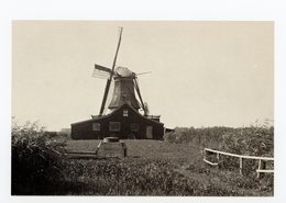 D157 - Westzaan Molen De Veldkat - Molen - Moulin - Mill - Mühle - Zaanstreek