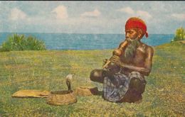 CPA ETHNICS, ASIA, SRI LANKA- SNAKE CHARMER - Asien