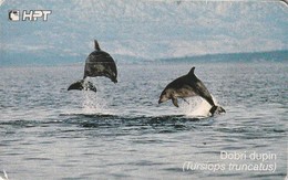 CROACIA. K 35/98. DELFINES - DOLPHINS. (152). - Dauphins