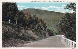 PC Catskill Mountains - Up The Mohican Trail - 1932 (42975) - Catskills