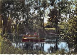 ** Lot De 2 Cartes ** 77 - PAYSAGES De SEINE & MARNE Coins De Pêche ( Une Avec Pecheur En Barque ) CPSM GF Seine Marne - Autres & Non Classés