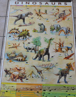 POSTER AFFICHE DINOSAURE - Plakate