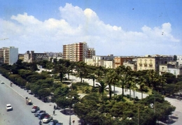 Bisceglie - Piazza Vitt.emanuele II - Formato Grande Viaggiata - E 13 - Bisceglie