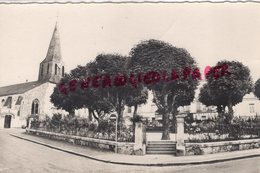 Delcampe - 49 - DOUE LA FONTAINE-  PLACE DE L' EGLISE - Doue La Fontaine