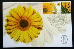 Israel Flowers Gerbera 2001 Flora Plant Flower (maxicard) - Cartas & Documentos