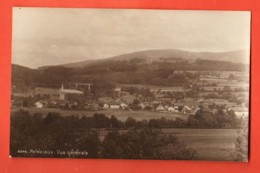 TSO-13  Palézieux Vue Générale  Perrochet-Matile 8346.  Non Circulé - Palézieux