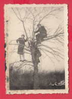 247724 / MAN WOMAN ON THE TREE  , Vintage Original Photo , Bulgaria Bulgarie Bulgarien - Personnes Anonymes