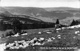 Creux Du Van Vue Sur Le Val De Travers - Vache - Travers