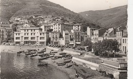 Delcampe - CPSM Dentelée (66) CERBERE Vue De La Plage (2 Scans) - Cerbere