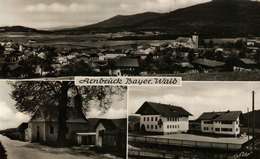 ARNBRÜCK/BAYER,WALD - Regen