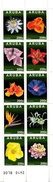 2013 Aruba Flowers Complete Set Of 10 MNH @75% FACE VALUE - Niederländische Antillen, Curaçao, Aruba
