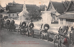 ¤¤   -  CAMBODGE    -  PHNOM-PENH   -  Eléphants Du Roi , Harnachés Pour La Promenade     -  ¤¤ - Cambodge