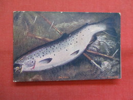 Salmon  Fish  -ref    3569 - Fische Und Schaltiere