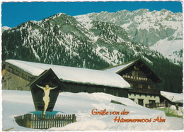 Leutasch - Hämmermoos Alm In Gaistal - Tirol - Leutasch