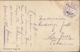 Cachet Militaire Violet Cp Mitr Att Poste De Camp I/1 CPA Ins Anet ? Suisse Photoverlag F Zaugg Biel Voyagée 1918 - Postmarks