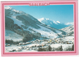 Skidorf Saalbach, 1003 M  Mit Schattberg-Westgipfel Und Zwölferkogel  - Salzburger Land - Saalbach