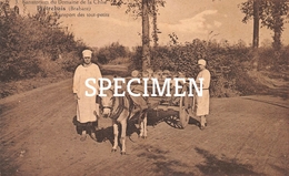 Sanatorium Du Domaine De La Chise : Transport Des Tout-petits - Piétrebais - Incourt