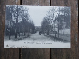 CPA 78 LE VESINET AVENUE DE LA PRINCESSE - Le Vésinet