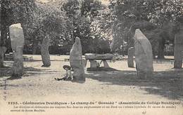 .Druide. Druidisme.Barde. Croyance.        22     Le Chant Du Gorsedd. Menhirs        (voir Scan) - Other & Unclassified